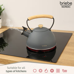 Set Nordic Tostador 2 rebanadas + Tetera Gris