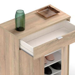 Zapatero Domus 2 Puertas Cambrian 101x75x36 cm