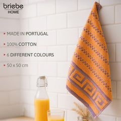 Set de 6 Paños de Cocina briebe Home 100% Algodón Rizo 50X50cm, Alta Absorción y Suavidad